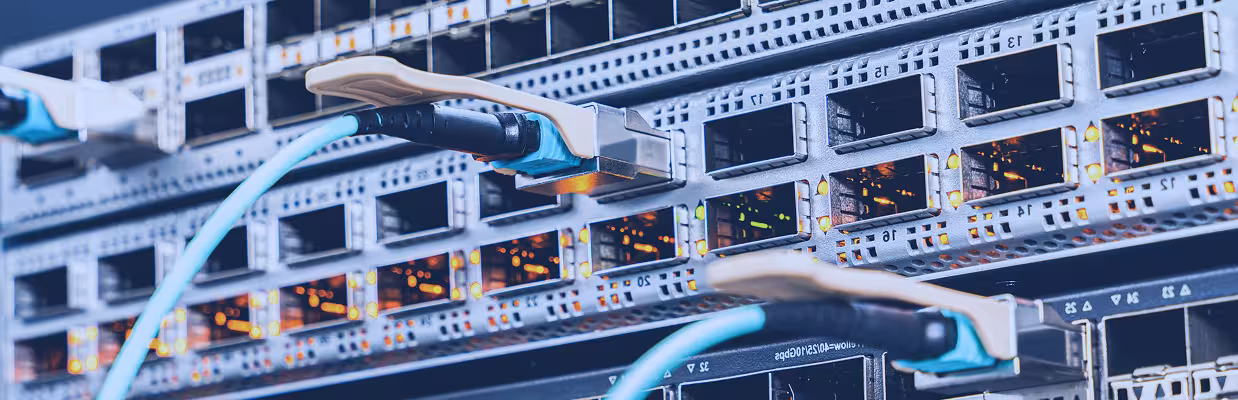 Ethernet cables plugged into server.